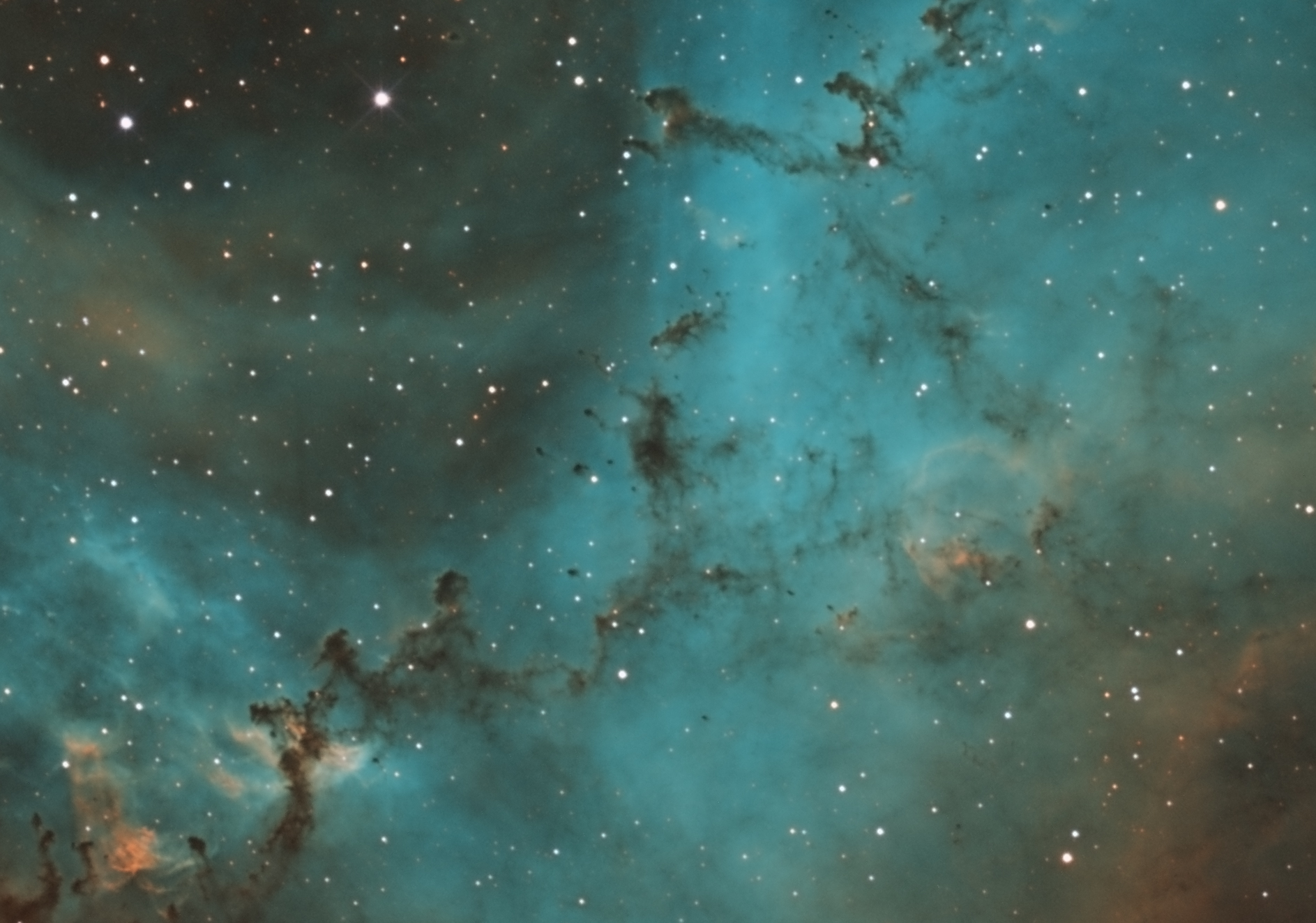 Crop on NGC2244