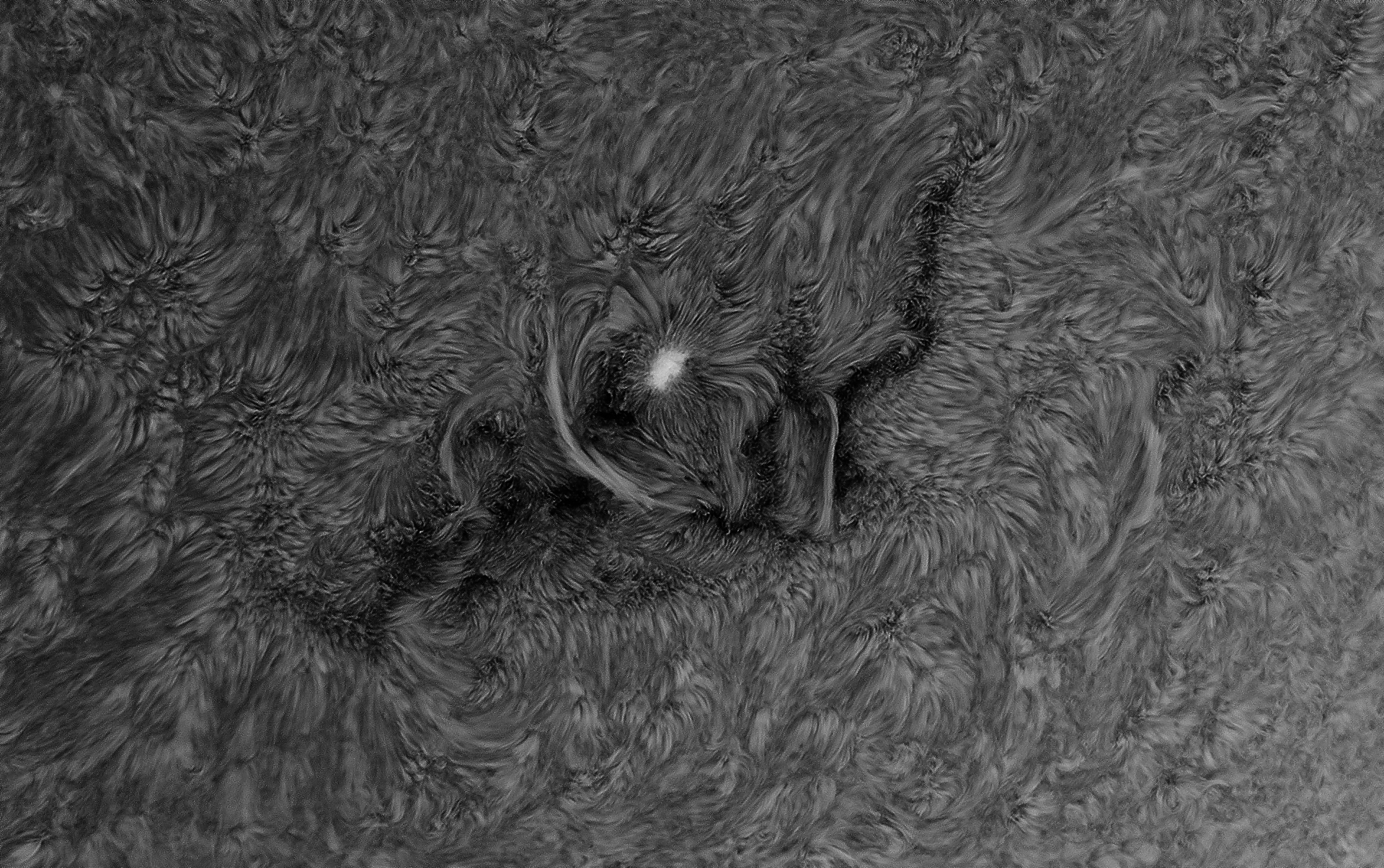 Sun in Ha Band with HaT telescope
